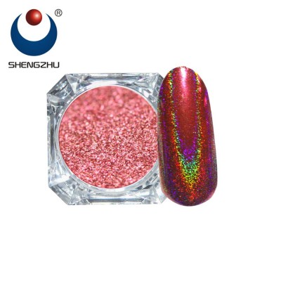 SHENGZHU 0.5g/jar color holographic iridescent platinum pigments