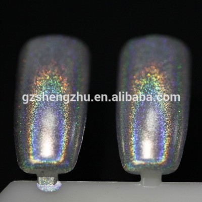 nail holo/holographic pigment